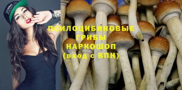 МДМА Лагань